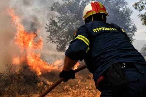 τριανταφυλλος χαραλαμπους