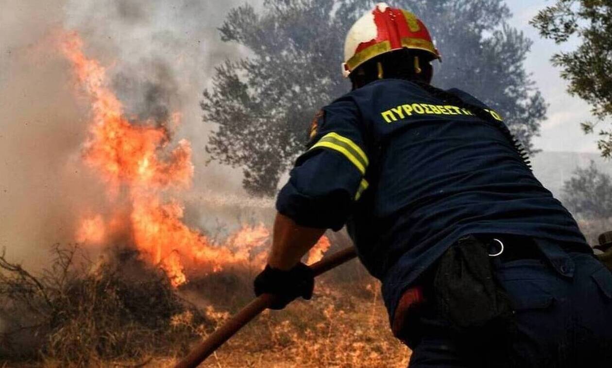 τριανταφυλλος χαραλαμπους